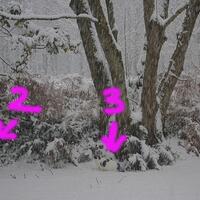 level-123-sampai-manakah-level-ketelitian-agan2masuk-dan-uji-gan