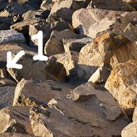 level-123-sampai-manakah-level-ketelitian-agan2masuk-dan-uji-gan