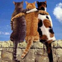 ciri---ciri-orang-yang-mempunyai-indera-ke---6-yang-belum-terasah