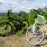 share-wimcycle-agent-series-pic