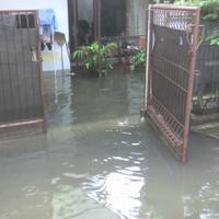 banjir-di-kelapa-gadingyang-laen-semana