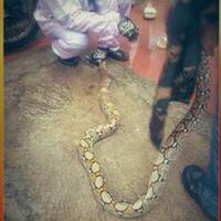 jakarta-kembali-dilanda-banjir-5-tahunan