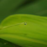 pentax-village---part-3--the-legend-still-continues