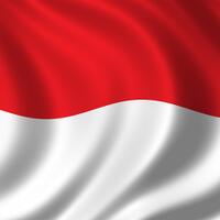 power-of-indonesia
