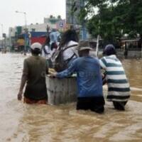 bila-programnya-gagal-jokowi-setuju-ibu-kota-pindah