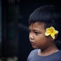 saung-lensa-manual---part-2