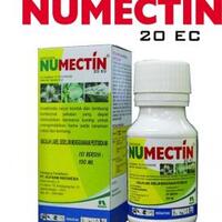 ayo-bertanam-cabe---hot--eksotis