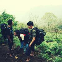 post-image