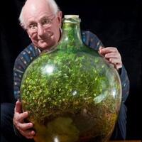 tak-dirawat-40-tahun-tanaman-ini-tetap-tumbuh