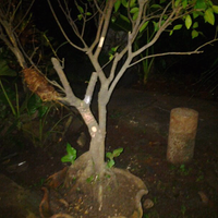 post-image