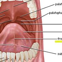 mengapa-cadel--apa-bisa-di-sembuhkan