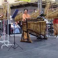 angklung-indonesia-tampil-di-hari-australia