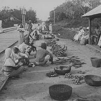 sejarah-indonesia-dimulai-sejak-17-juta-tahun-yang-lalu-sampai-sekarang