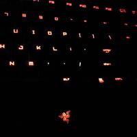 blackwidow-dragon-age-ii-lycosa-mirror-rubber-atau-roccat-isku