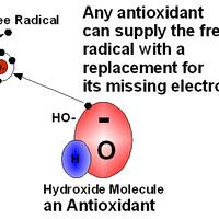 antioksidan-dan-pencegahan-kanker