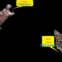 apa-yang-ada-dipikiran-kaskuser-waktu-liat-tampilan-ini