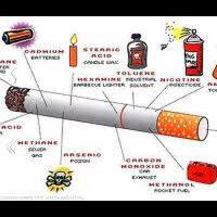 9-manfaat-rokok-bagi-kesehatan-manusia