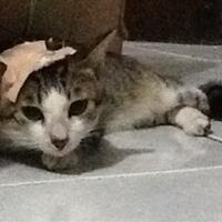 lounge-h2h-baca-page-one-before-post----make-it-a-better-place-----part-3