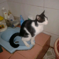 lounge-h2h-baca-page-one-before-post----make-it-a-better-place-----part-3