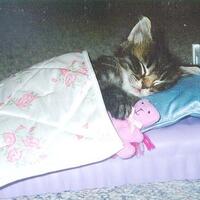 lounge-h2h-baca-page-one-before-post----make-it-a-better-place-----part-3