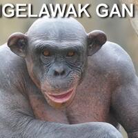 sudah-tau-belom-gan-ternyata-cristiano-ronaldo-itu