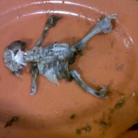 hasil-isengan-makan-siang