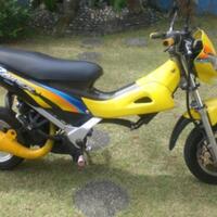 share-infoserba-serbi-suzuki-raider-125