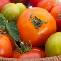 makan-tomat-ampuh-turunkan-risiko-penyakit-jantung