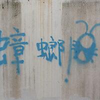 freelancer-itu-harus-seperti-kecoa