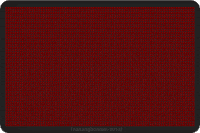 freelancer-itu-harus-seperti-kecoa