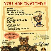 yorkie-loversmasuk-sini-dunk