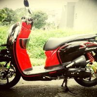 share-infooctopushonda-scoopy-kaskus----reborn-new