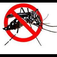 tips-mengusir-nyamuk-dari-rumah