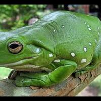 sedikit-motivasi-kata-beserta-gambar