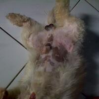 post-image