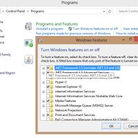 ask-gak-bisa-install-net-framework-35-offline-di-windows-8