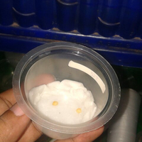 lomba-menanam-cabe-california-reaper