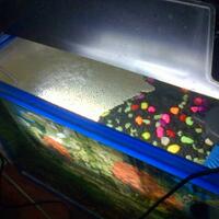 maskoki-ngomongin-semuanya-ttg-maskoki-yuk---part-3