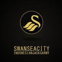 swansea-city-973396799733-second-season-epl-2012-2013-973396799733-who-are-we-jack-army