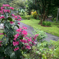 jadi-fotografer-gak-usah-beli-kamera-yg-mahal2-gan--henfun-aja