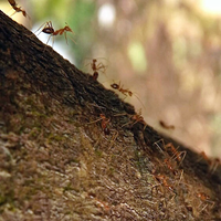 discussion-photograpy-in-medan