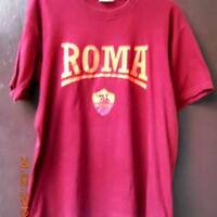 curva-sud--olimpico--as-roma-fans-club-2012-2013