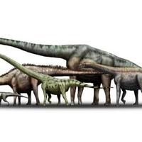 teka-teki-leher-panjang-dinosaurus-terungkap