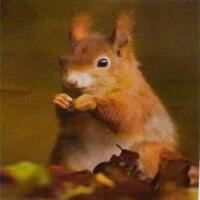 tips-trik-wajib-dicoba