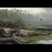 misteri-alur-sungai-amazon-terbentuk-karena-anaconda-raksasa