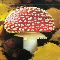 tips-trik-wajib-dicoba