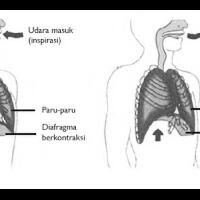 club-pbka---pengisian-ilmu-kontak-beladiri--metafisika