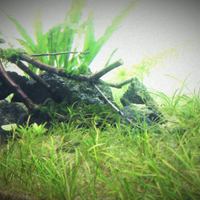 tempat-ngumpul-anak-anak-curup-kepahiang-lebong-dan-sekitarnyo---part-2