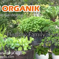 halaman-organik---healthy-family-healthy-environment