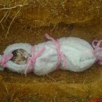 lounge-of-saburai--wajib-baca-rules-sebelum-posting